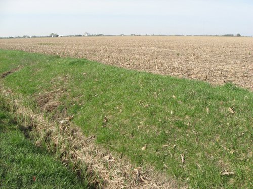 Property photo 36 - 172 Acres Offered in 3 Tracts - Prime Farmland